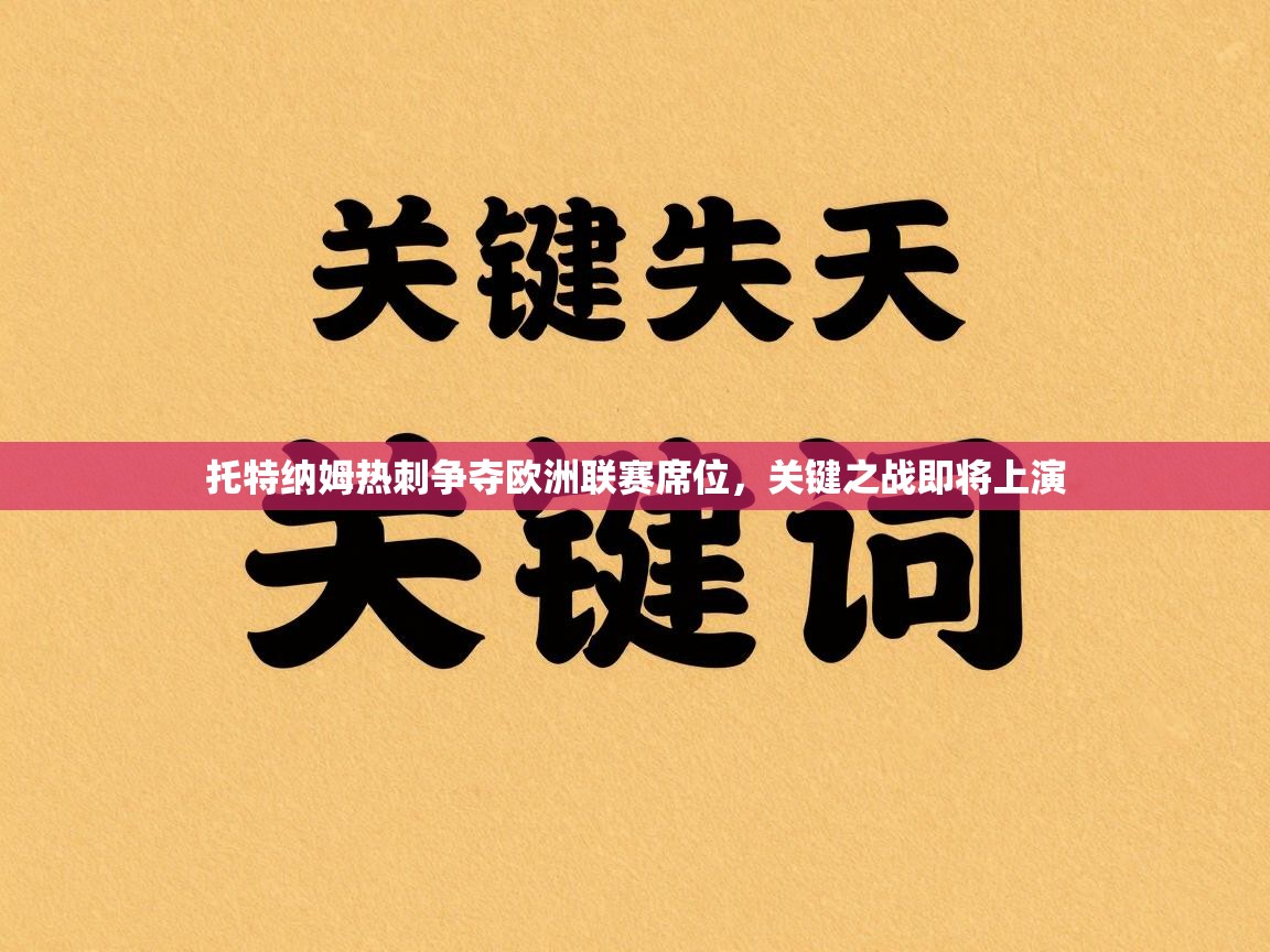 托特纳姆热刺争夺欧洲联赛席位，关键之战即将上演  第2张