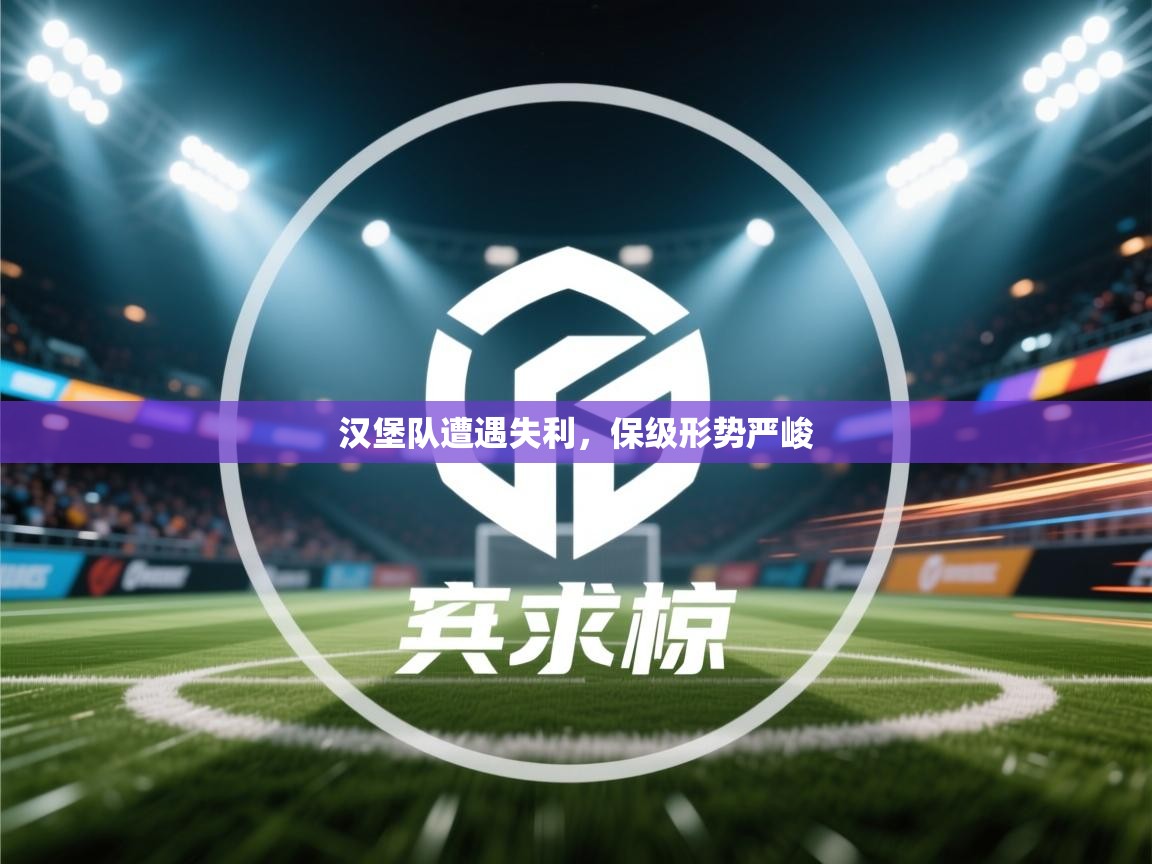 汉堡队遭遇失利，保级形势严峻  第2张